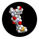 Peptide-Specific Antibodies